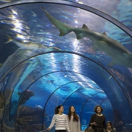 SEA LIFE  L’acqaurio di Londra