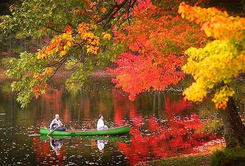 Autunno a Londra